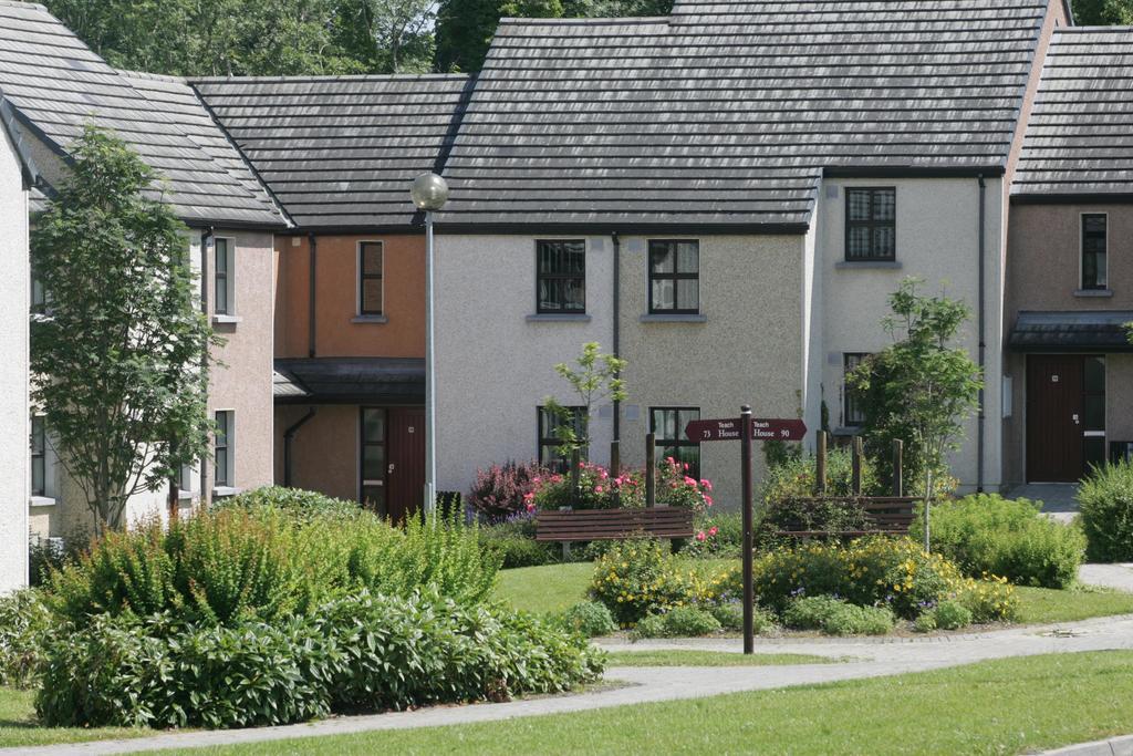 Brennan Court Guest Accommodation Limerick Junction Exteriér fotografie